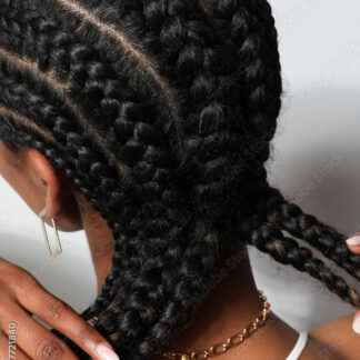 Braids Thin - Full head