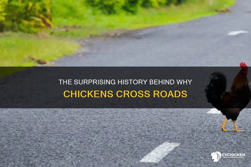 Explore chicken road españa